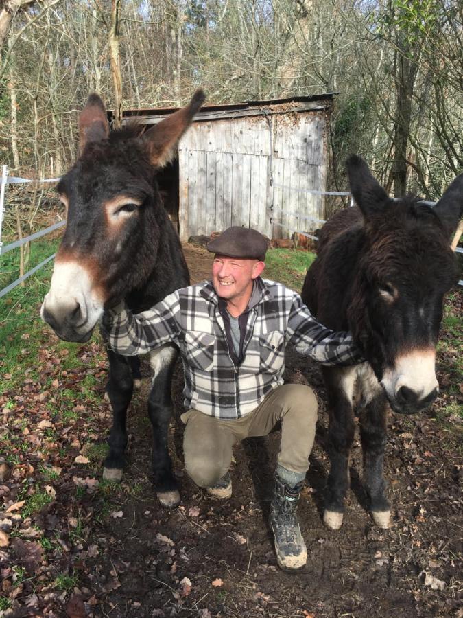 Loire Valley Llama Farm Stay Saint-Cyr-Les-Champagnes Dış mekan fotoğraf