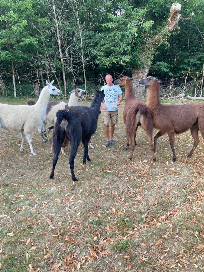 Loire Valley Llama Farm Stay Saint-Cyr-Les-Champagnes Dış mekan fotoğraf