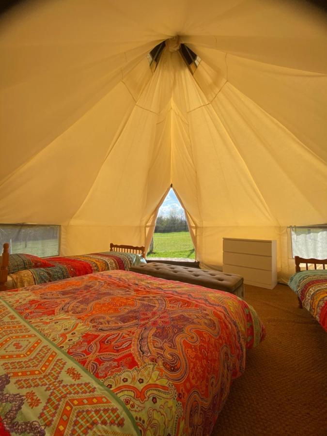 Loire Valley Llama Farm Stay Saint-Cyr-Les-Champagnes Dış mekan fotoğraf