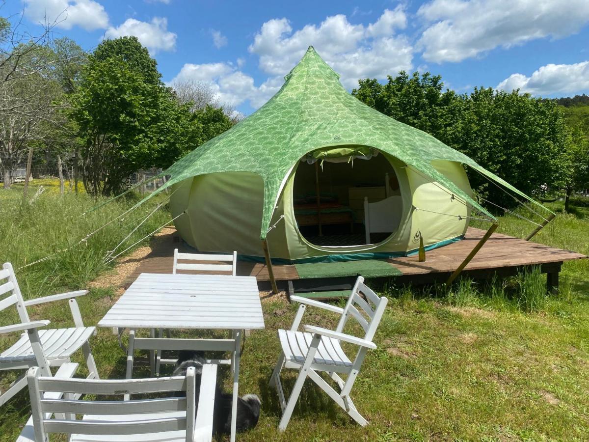Loire Valley Llama Farm Stay Saint-Cyr-Les-Champagnes Dış mekan fotoğraf
