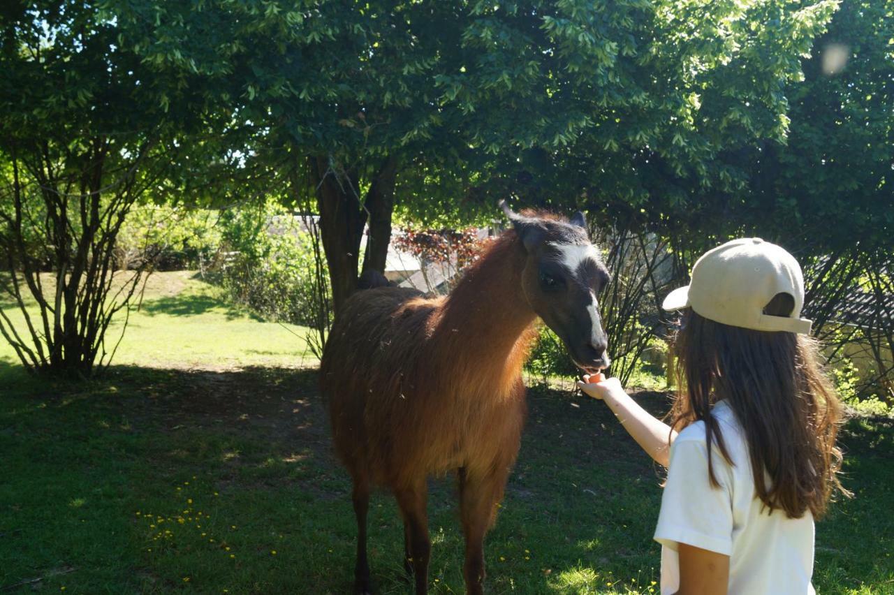 Loire Valley Llama Farm Stay Saint-Cyr-Les-Champagnes Dış mekan fotoğraf