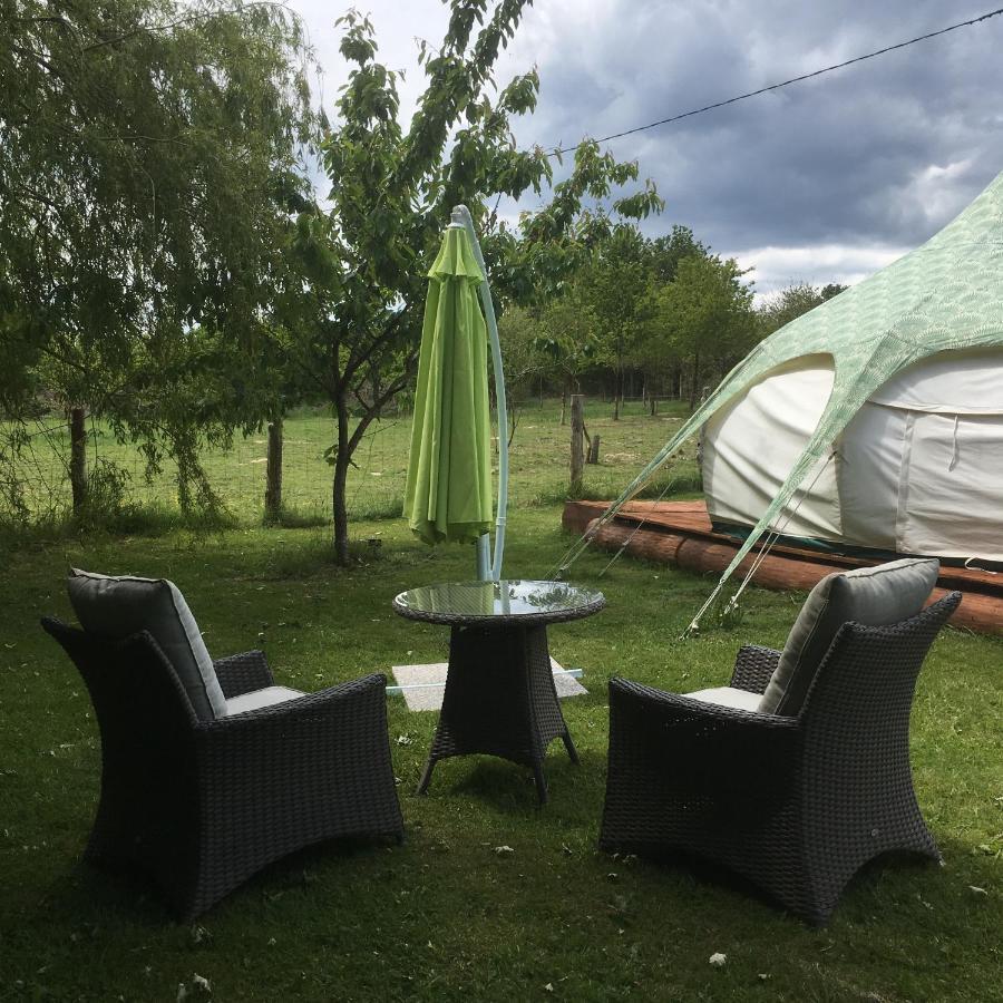 Loire Valley Llama Farm Stay Saint-Cyr-Les-Champagnes Dış mekan fotoğraf