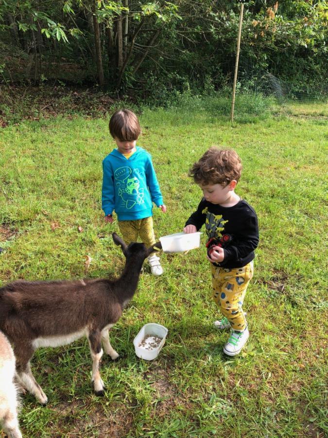 Loire Valley Llama Farm Stay Saint-Cyr-Les-Champagnes Dış mekan fotoğraf