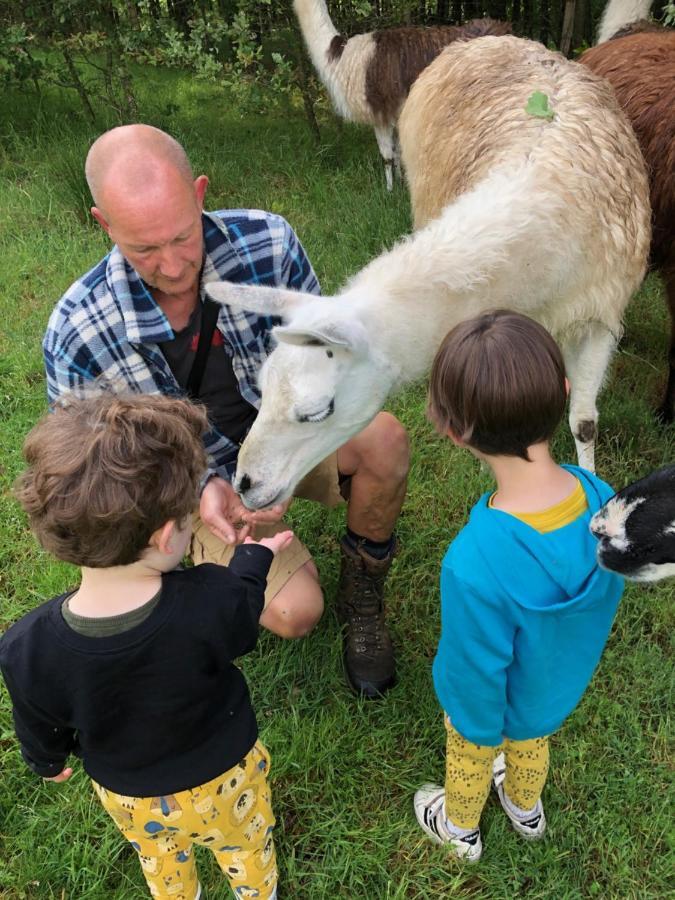 Loire Valley Llama Farm Stay Saint-Cyr-Les-Champagnes Dış mekan fotoğraf