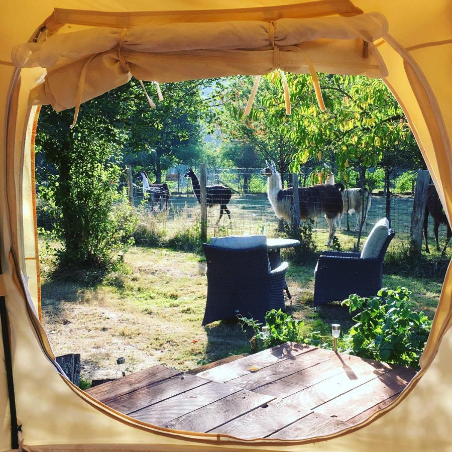 Loire Valley Llama Farm Stay Saint-Cyr-Les-Champagnes Dış mekan fotoğraf
